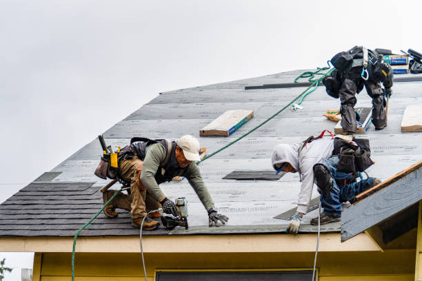 Professional Storm Damage Roof Repair technician working in Wathena, KS